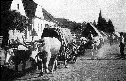 Im September 1944 brechen die Trecks aus Nordsiebenbrgen und einigen grenznahen Orten Sdsiebenbrgens ins Ungewisse auf. Nach einem letzten Gottesdienst und Glockenluten fahren die Wagen, von Pferden oder Hornvieh gezogen, mitunter mit Kober bedeckt, aber fast immer berladen, aus den Hfen, formieren sich zur Kolonne und kehren nach einem kurzen Halt am Friedhof ihrer Heimat den Rcken. Das Foto zeigt den Auszug aus Billak.