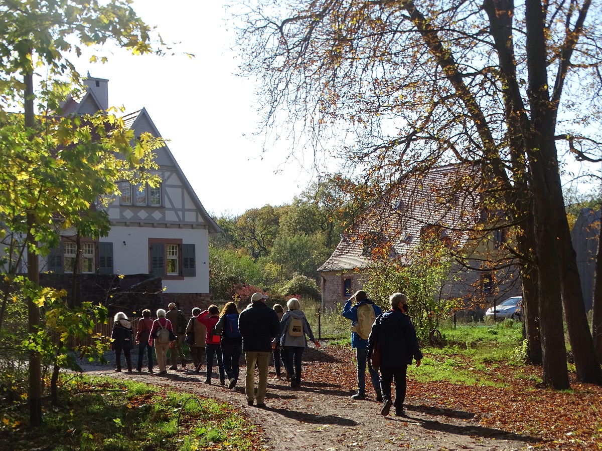 Das Forsthaus im Khkopf ...