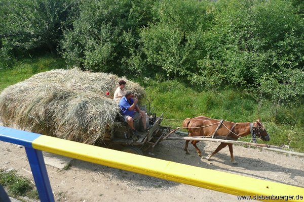 Typische Fortbewegungsmittel