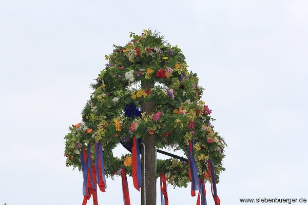 Bild Nr. 3