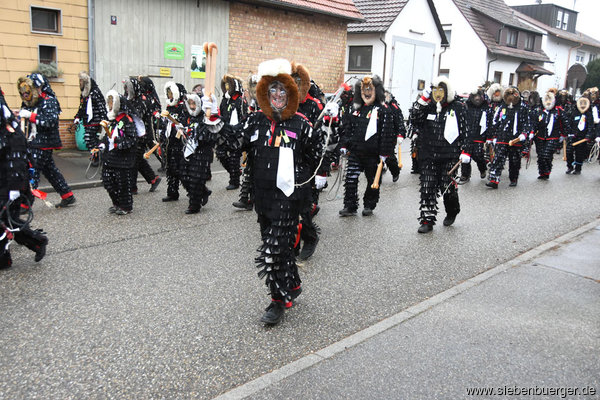 Urzeln im Umzug