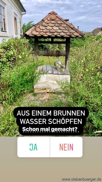 Bild Nr. 85