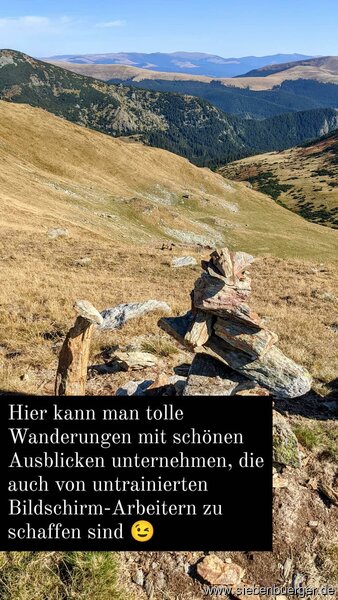 Bild Nr. 84