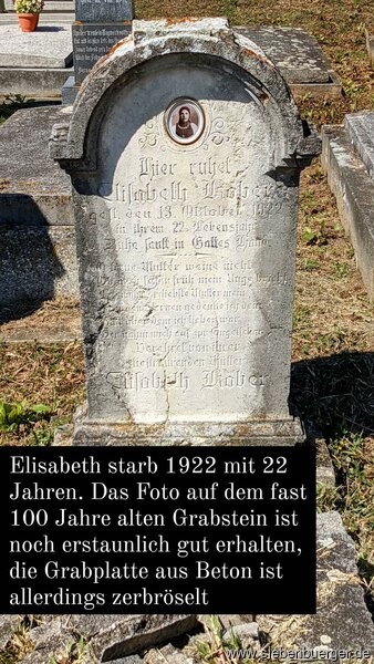 Bild Nr. 59