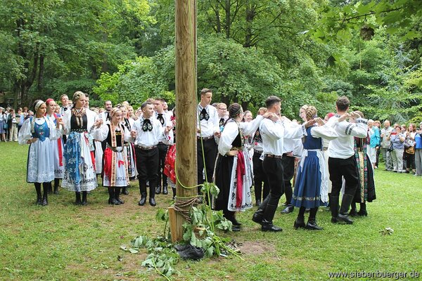 Bild Nr. 28