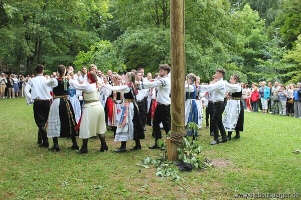 Bild Nr. 29