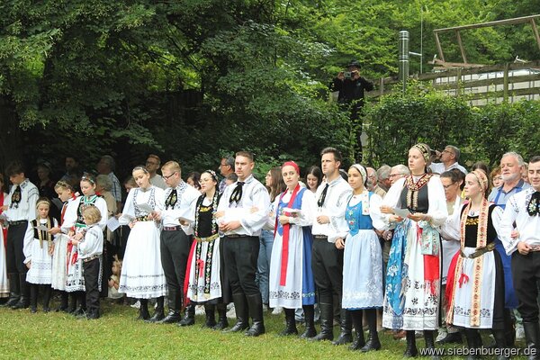 Bild Nr. 42