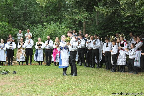 Bild Nr. 52