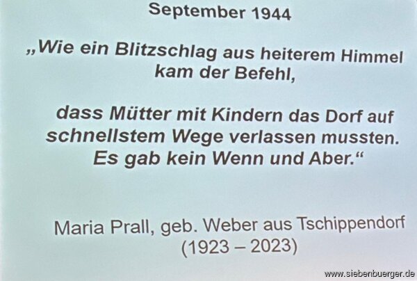 Bild Nr. 7
