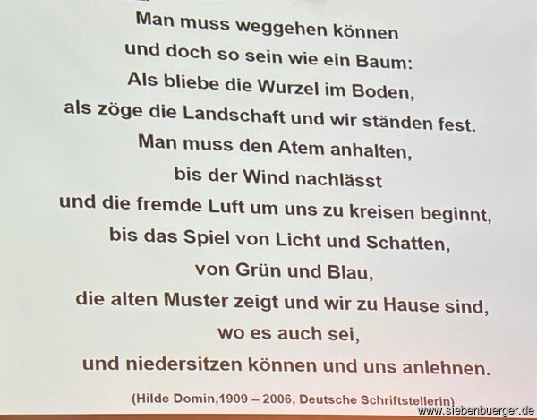 Bild Nr. 9