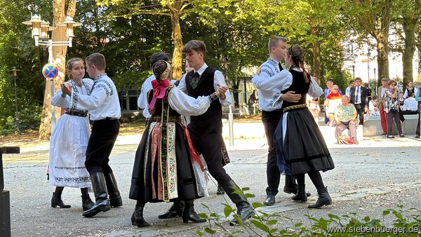 Bild Nr. 66