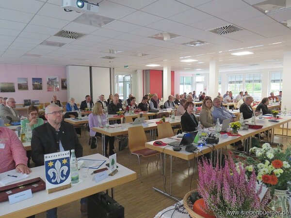 Bild Nr. 8