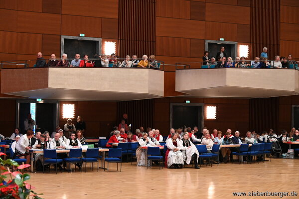 Bild Nr. 92