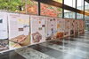 Bild Nr. 11