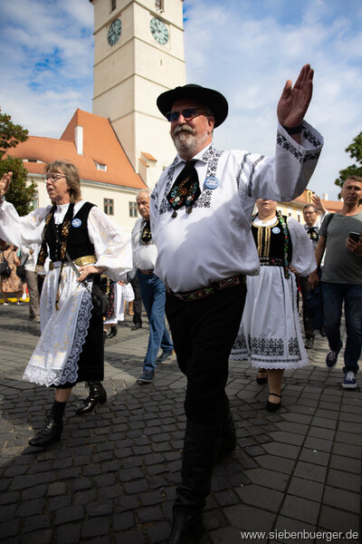 Bild Nr. 230