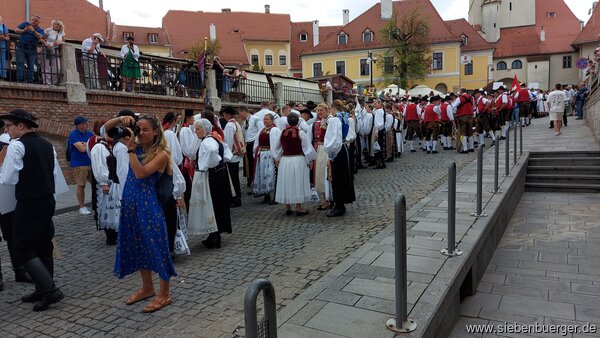 Bild Nr. 8