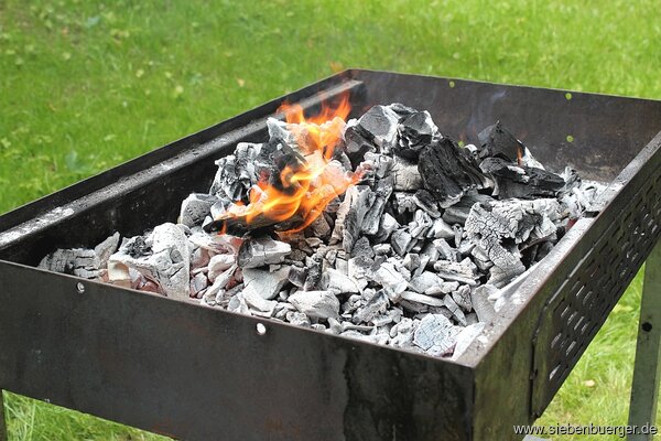 Bild Nr. 93