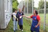 Bild Nr. 25