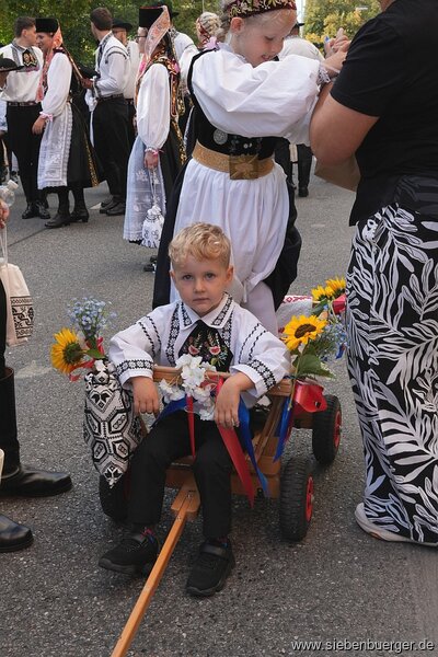 Bild Nr. 36