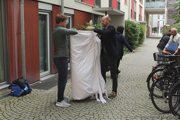 Bild Nr. 53
