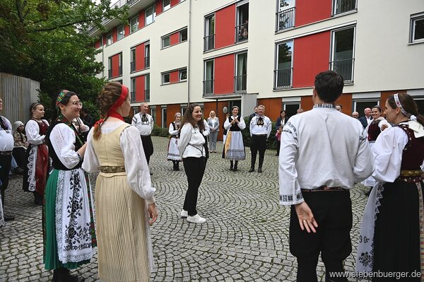 Bild Nr. 49