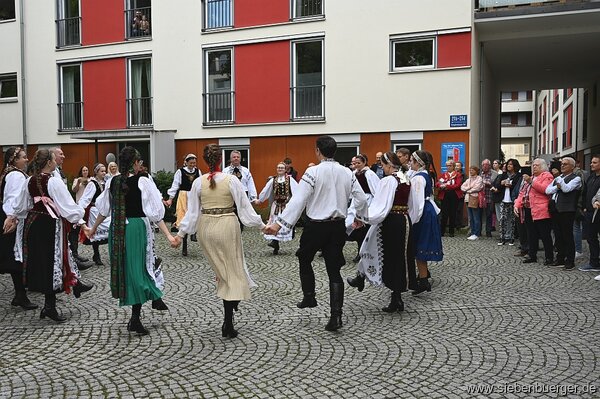 Bild Nr. 51