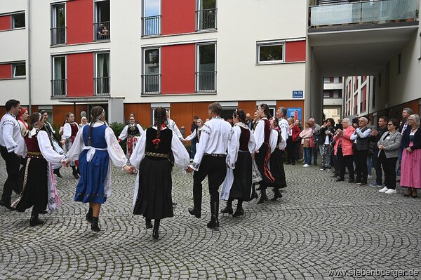 Bild Nr. 52