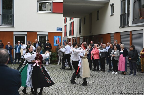 Bild Nr. 59