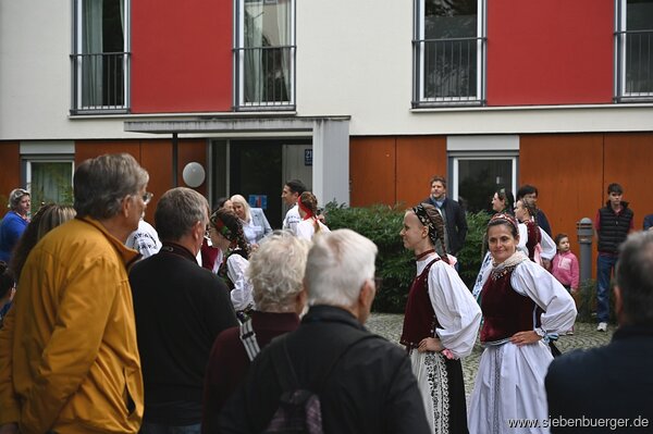 Bild Nr. 60