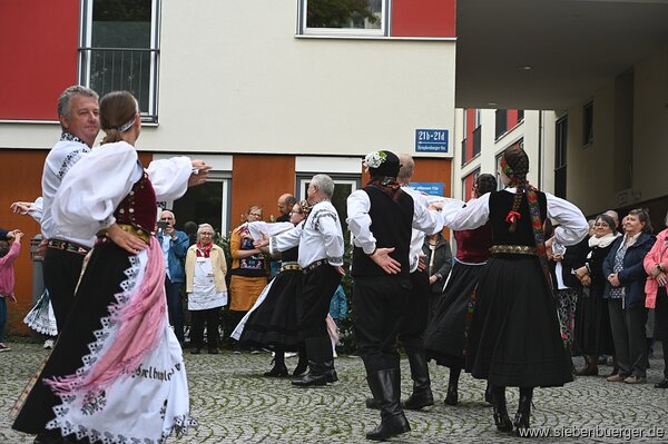 Bild Nr. 61