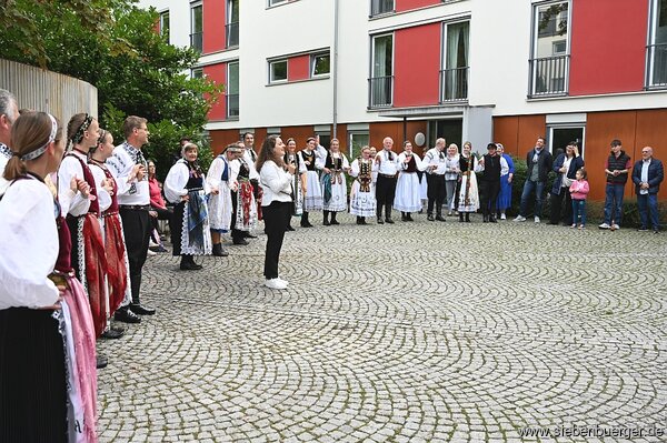 Bild Nr. 63