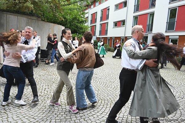Bild Nr. 68