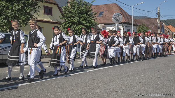 Bild Nr. 64
