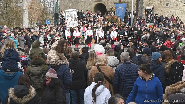 Bild Nr. 7