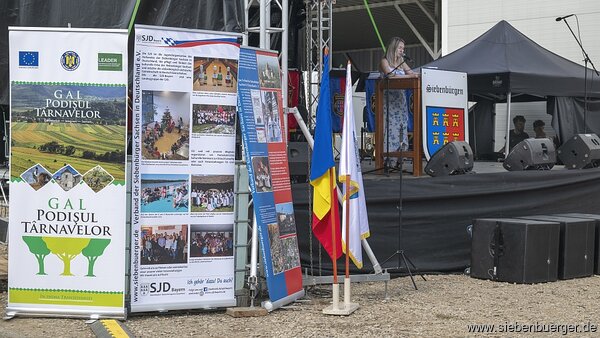 Bild Nr. 42