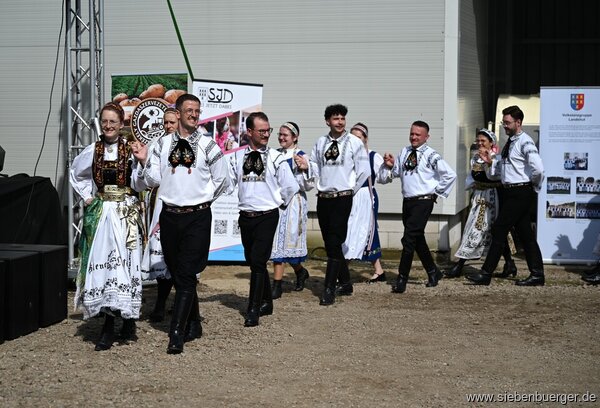 Bild Nr. 5