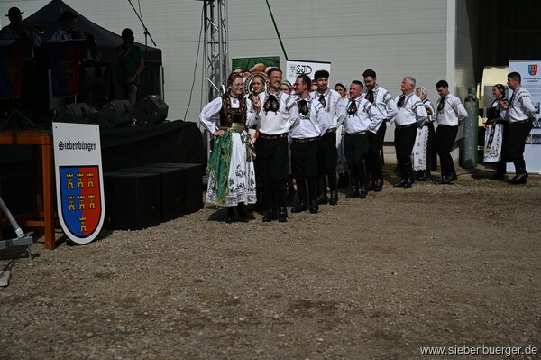 Bild Nr. 12