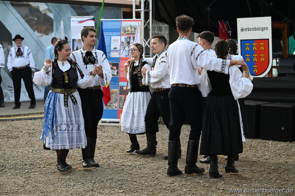 Bild Nr. 117