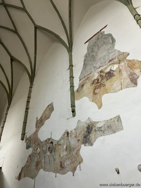 Bild Nr. 155