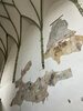 Bild Nr. 155