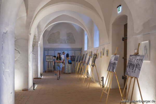 Bild Nr. 102