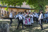 Bild Nr. 41