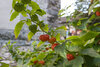 Bild Nr. 122