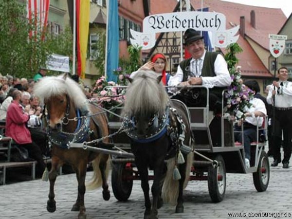 Bild Nr. 49