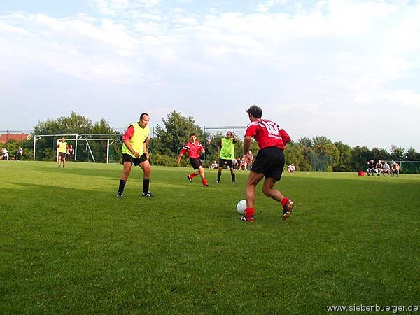 Bild Nr. 8