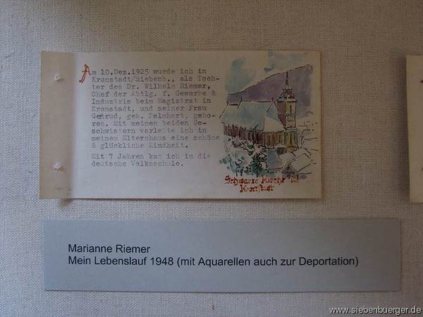 Bild Nr. 24