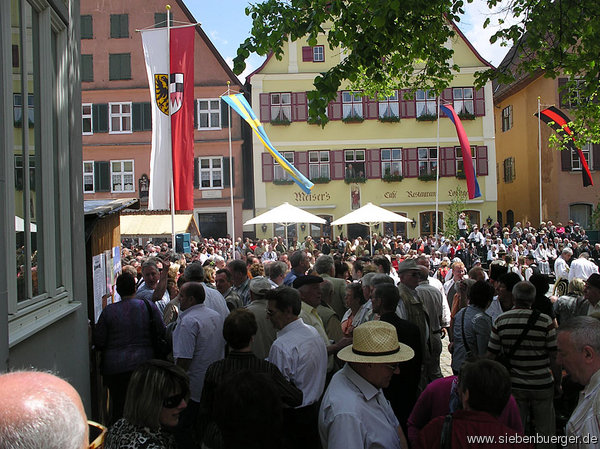 Bild Nr. 115