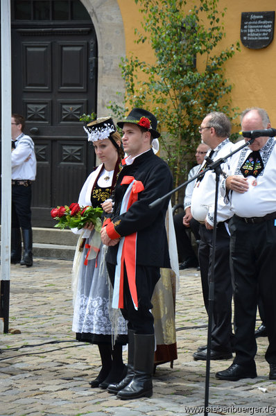 Bild Nr. 120