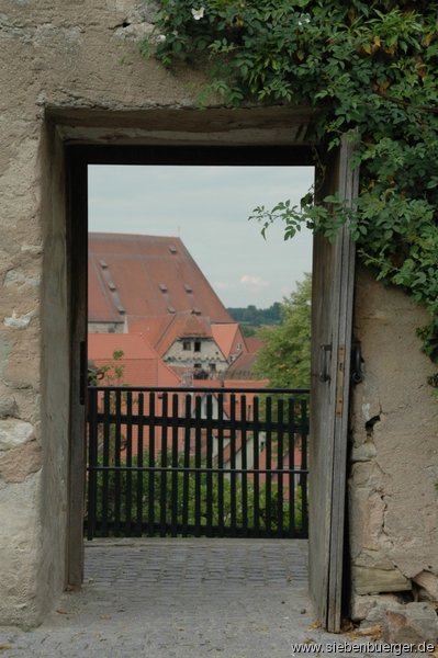 Bild Nr. 1
