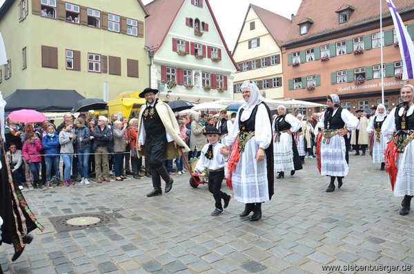 Bild Nr. 157